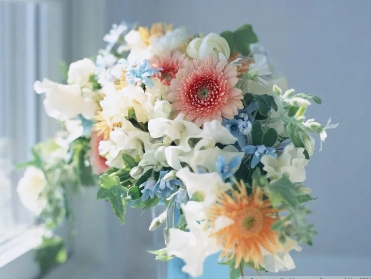 2020-2021飞鸟游园会-北京站