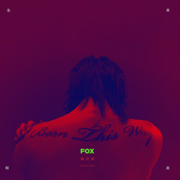 2020福克斯南京演唱会