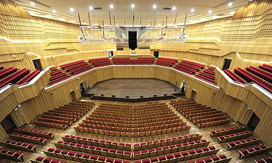 2020徐子钧长沙音乐会