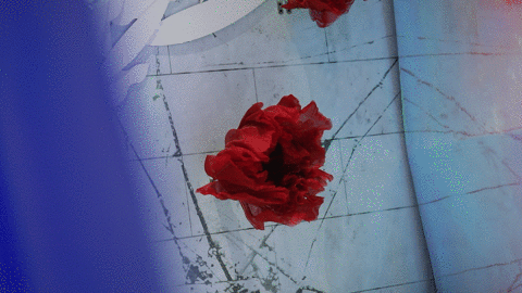 2020深圳奇妙童话秘境 2020深圳奇妙童话秘境