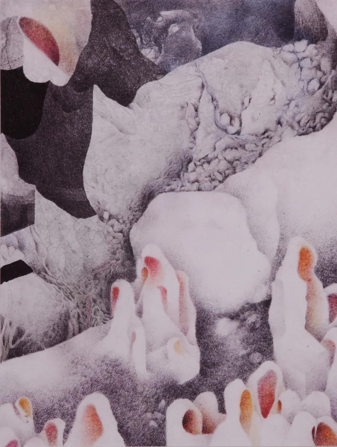 2020博洛尼亚上海插画展