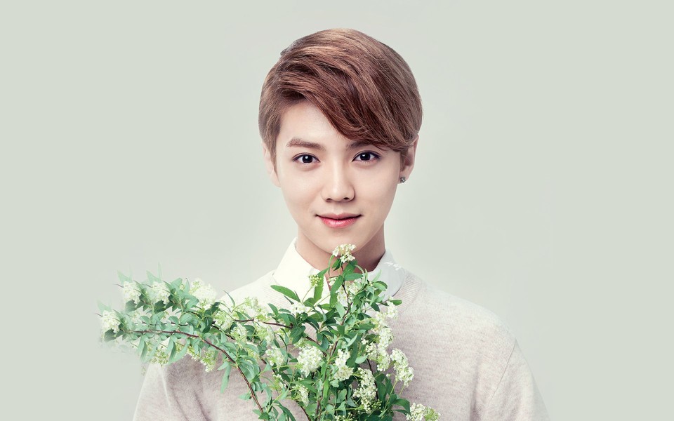 2023鹿晗北京演唱会门票安排一览