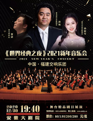 2020《世界经典之夜》合肥音乐会