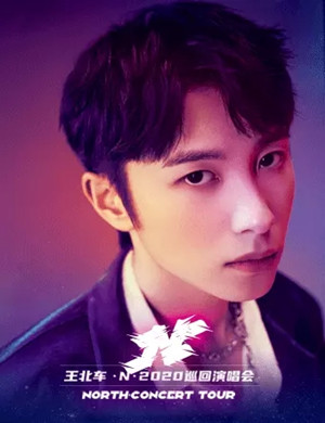 王北车杭州演唱会