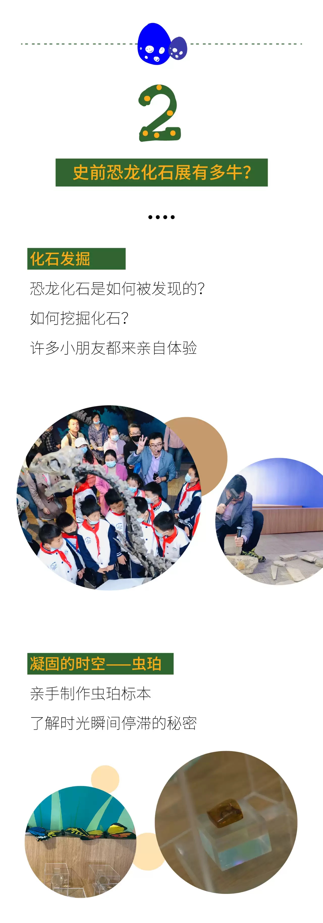 2020“探秘白垩纪,重返恐龙时代”史前化石恐龙展-青岛站 2020“探秘白垩纪,重返恐龙时代”史前化石恐龙展-青岛站