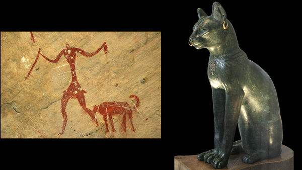 2020罗依尔上海脱口秀《猫猫狗狗的艺术》