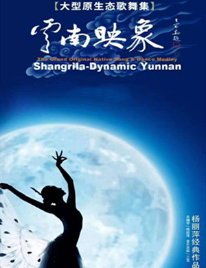 2020歌舞剧《云南映象》重庆站