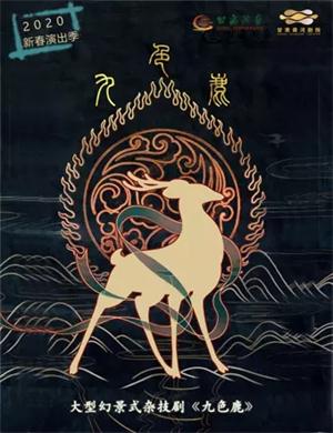 2020杂技剧《九色鹿》兰州站