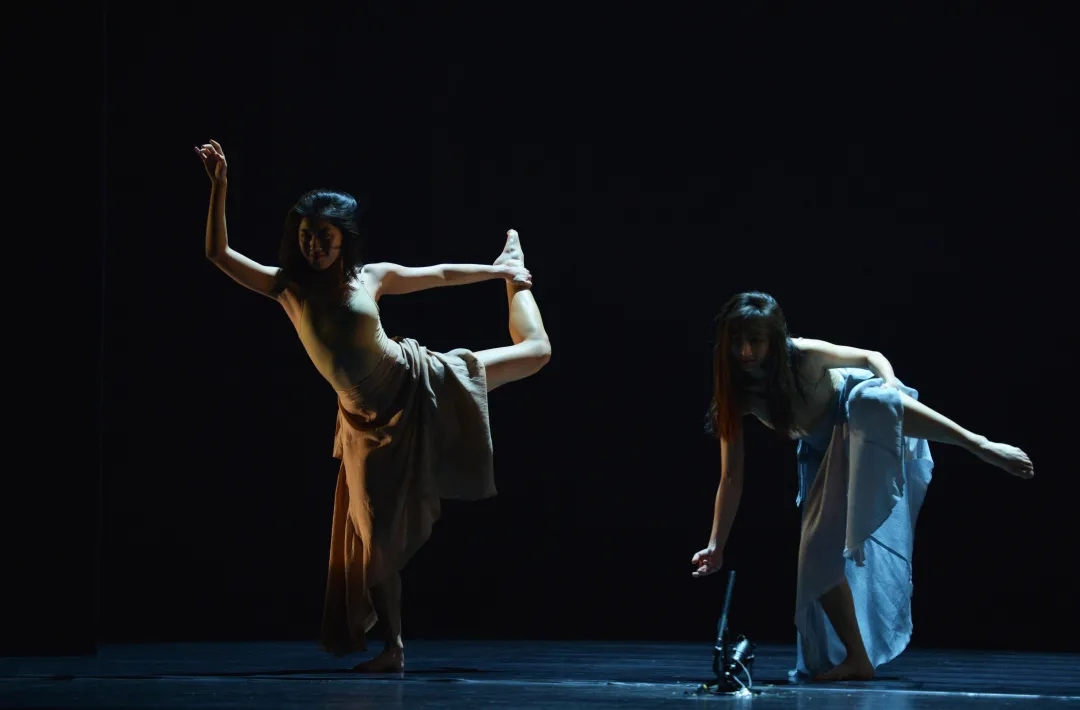 2022金星舞蹈团 现代舞《野花》-上海站