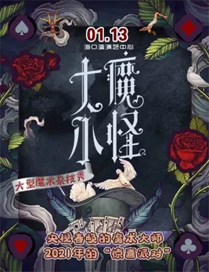 魔术杂技秀《大魔小怪》海口站