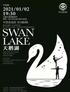 2025杂技剧《天鹅湖》无锡站