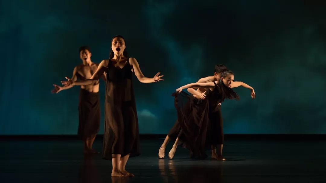 2021现代舞《与如梦的旅行》上海站