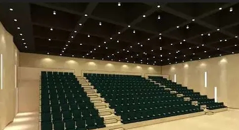 2020平安狂欢深夜秀北京站