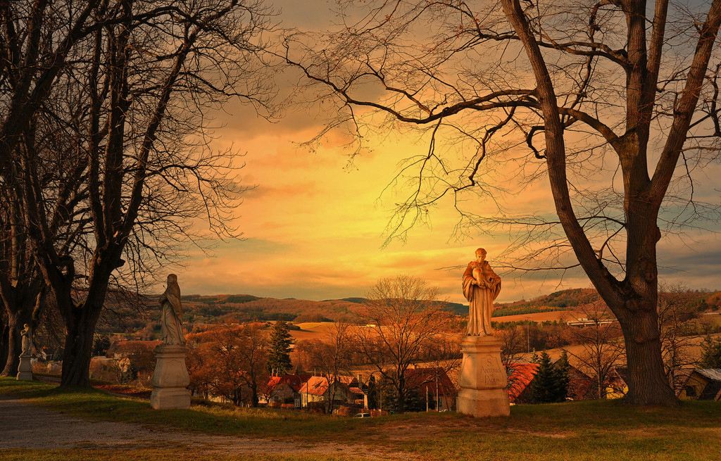 2020维也纳森林的故事兰州音乐会