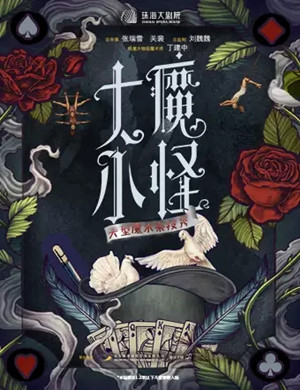魔术《大魔小怪》珠海站