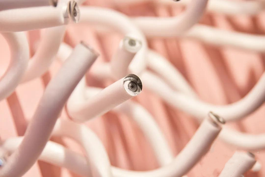 2020深圳地不平线多媒介实验艺术邀请展