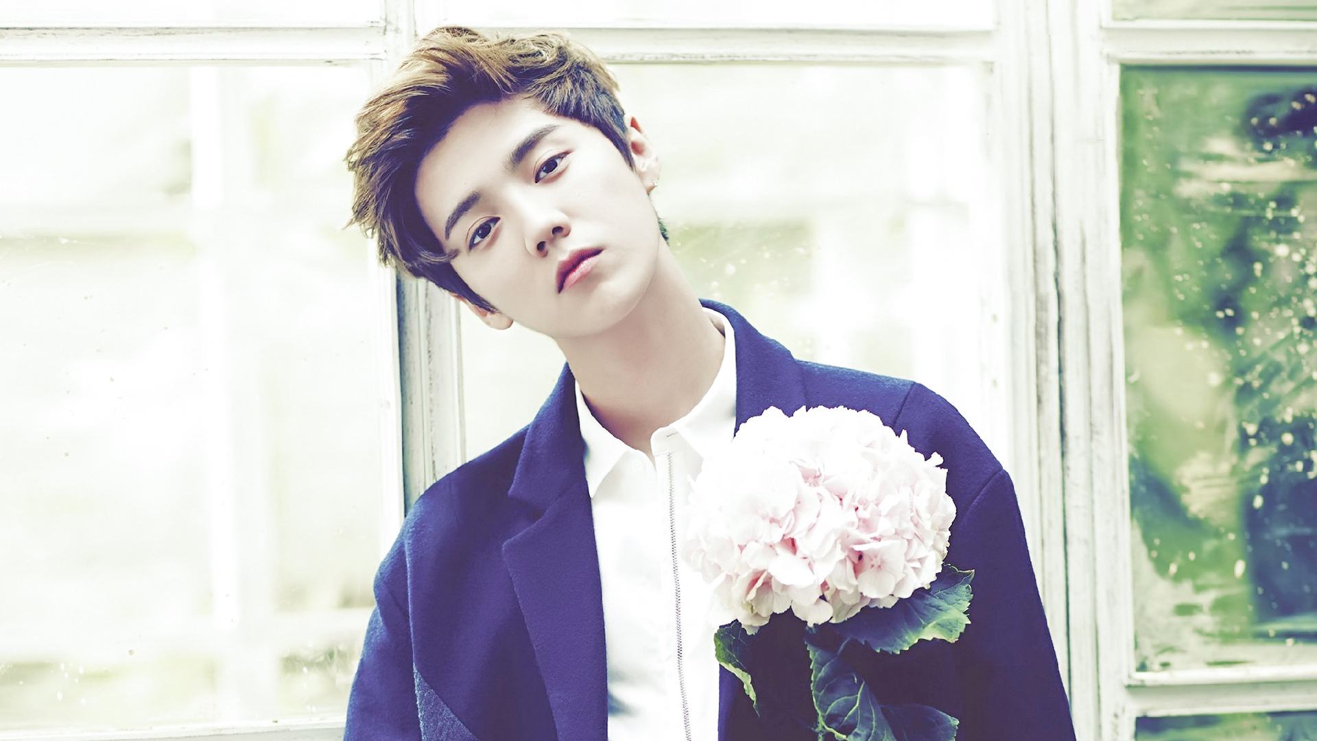 2023鹿晗上海演唱会时间、地点、订票网址