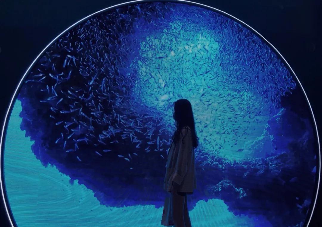 2020《Exploring Blue深蓝》重庆展