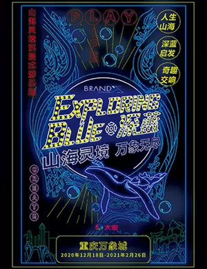 2020《Exploring Blue深蓝》重庆展