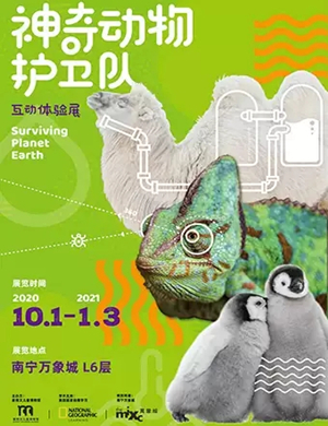2020南宁神奇动物护卫队体验展