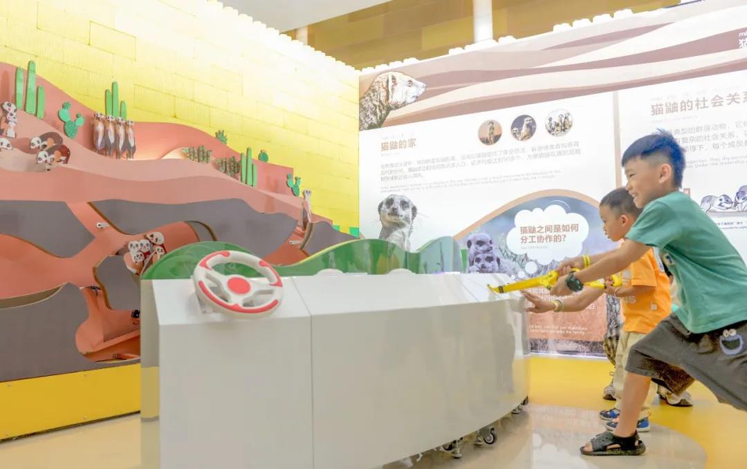 2020南宁神奇动物护卫队体验展