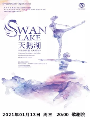 2025杂技剧《天鹅湖》福州站