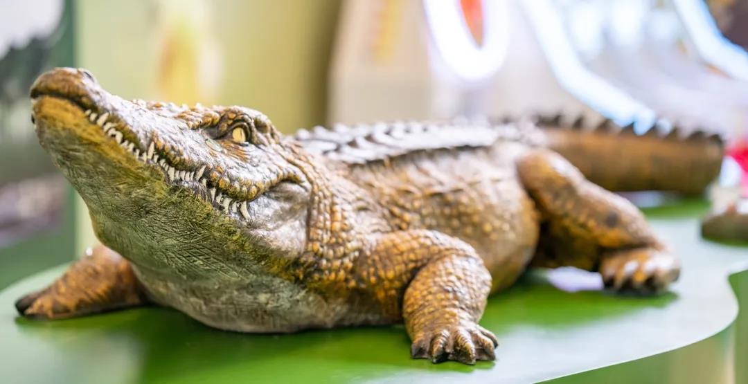 2020南宁神奇动物护卫队体验展