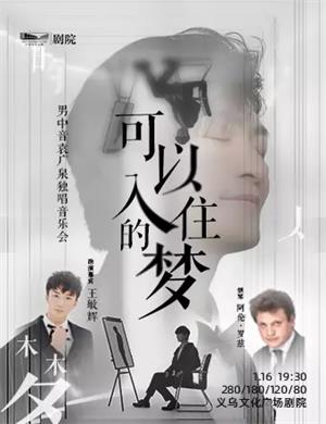 袁广泉金华音乐会