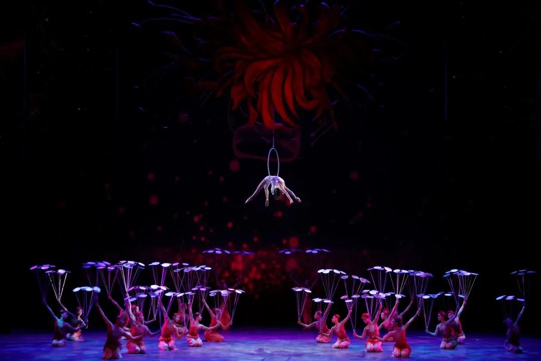 2021杂技剧《我和我的青春》丽水站