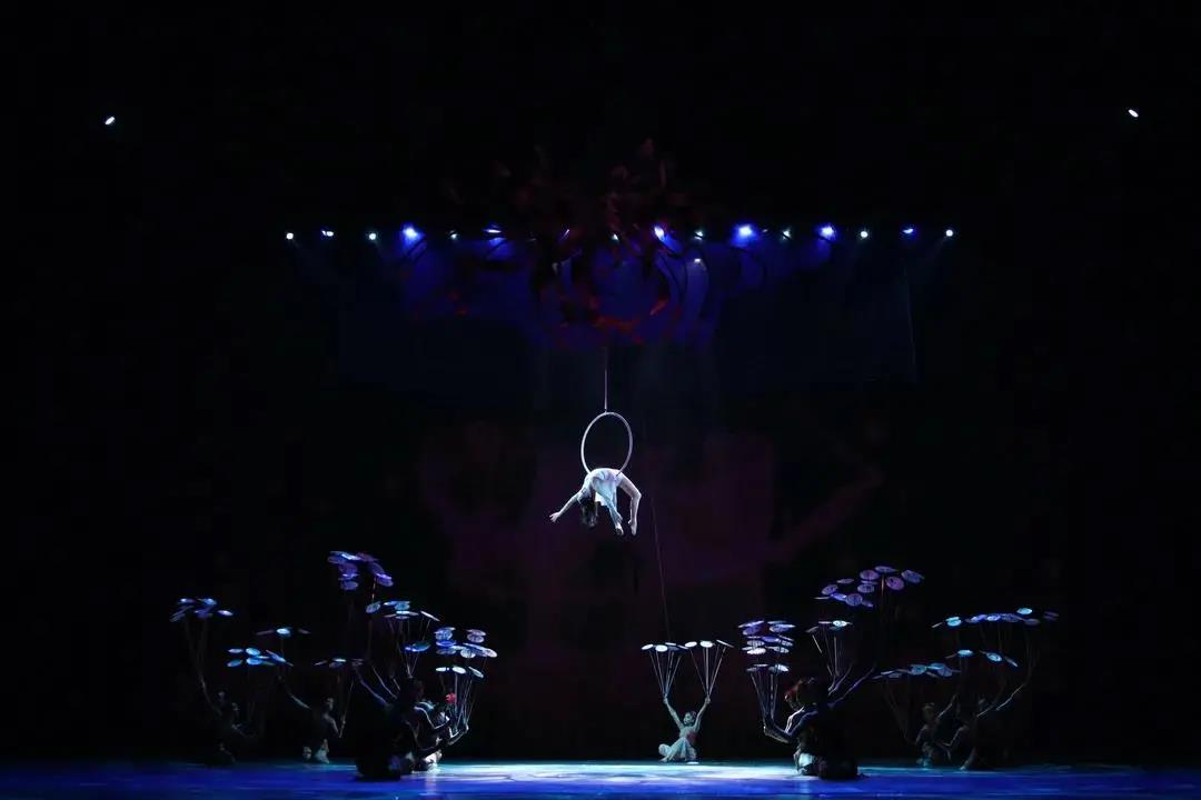 2021杂技剧《我和我的青春》丽水站