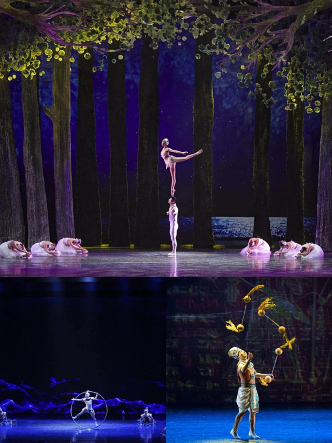 2021杂技剧《天鹅湖》福州站