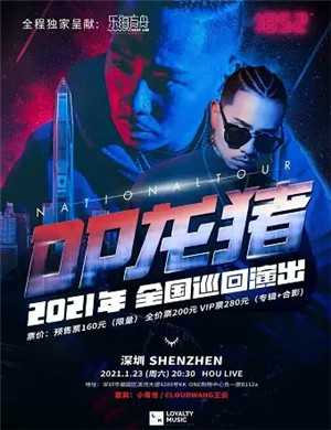 DP龙猪深圳演唱会