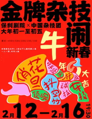 2025金牌杂技闹新春北京站