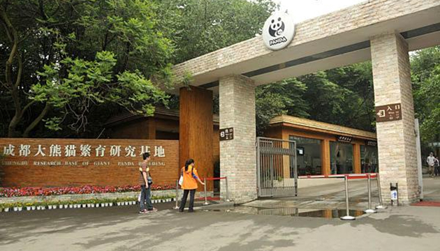 成都大熊猫繁育研究基地·熊猫广场