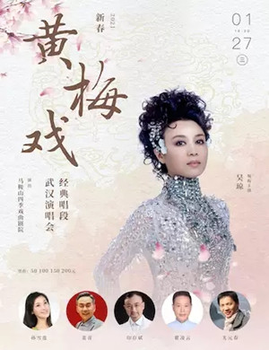 2025黄梅戏经典唱段武汉演唱会
