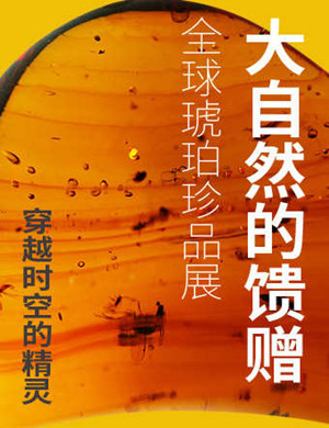 2025福州全球琥珀珍品展