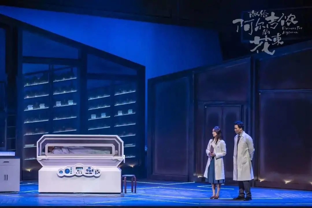 2023音乐剧《献给阿尔吉侬的花束》上海站门票价格+时间地点+剧情介绍