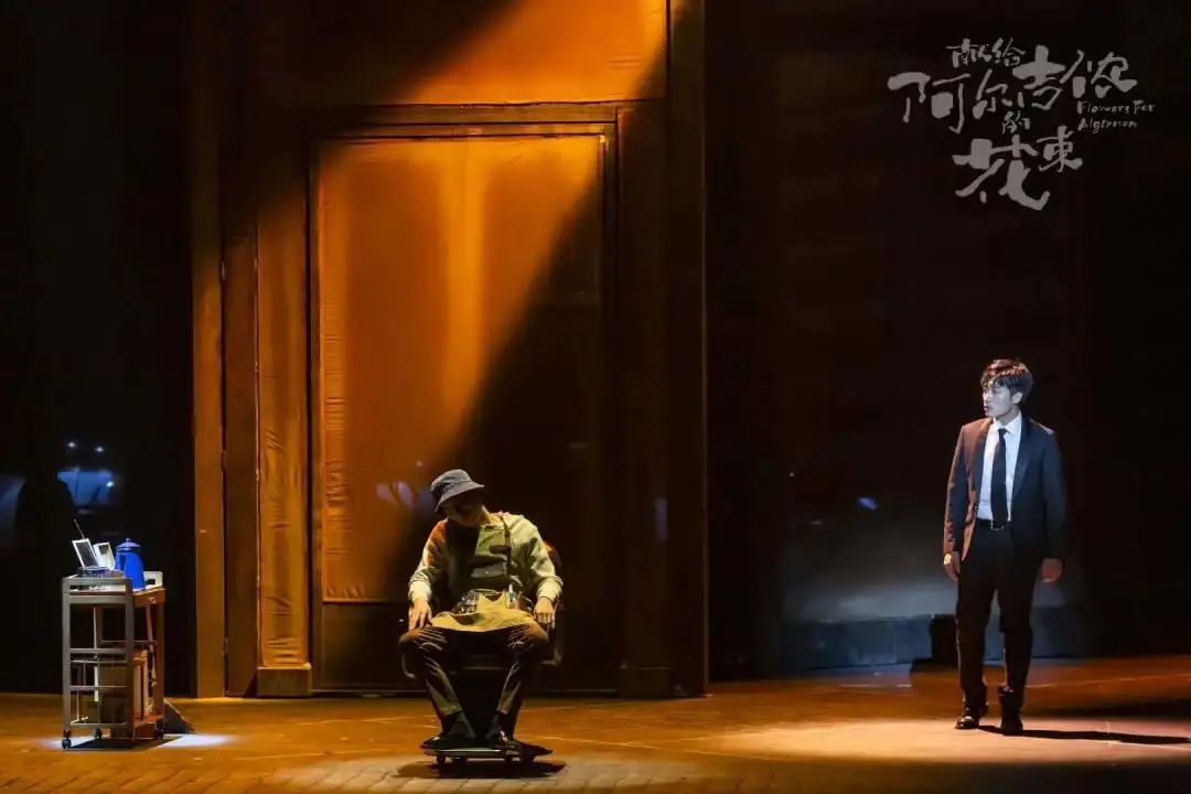 2023音乐剧《献给阿尔吉侬的花束》上海站门票价格+时间地点+剧情介绍