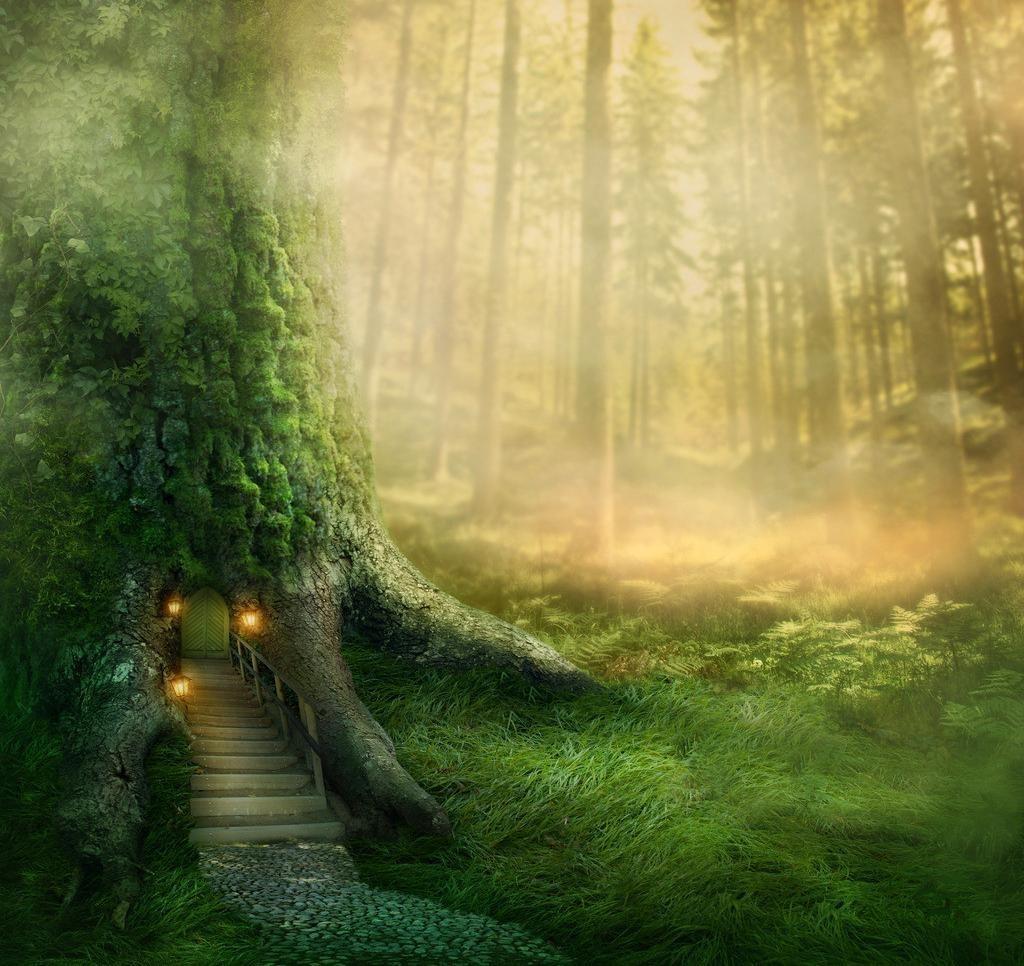 2021儿童剧《树洞的秘密》成都站