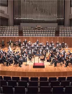 2025中央芭蕾舞团交响乐团北京音乐会