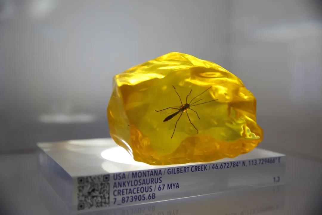 2021侏罗纪世界电影特展-广州站 2021侏罗纪世界电影特展-广州站