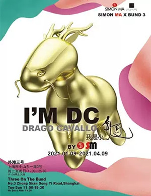 2025上海DC小龙马展览