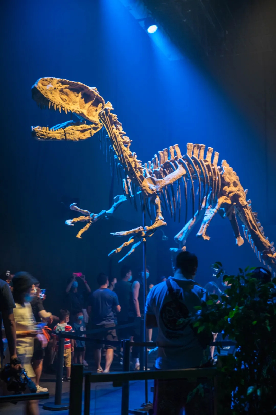 2021广州侏罗纪世界电影特展