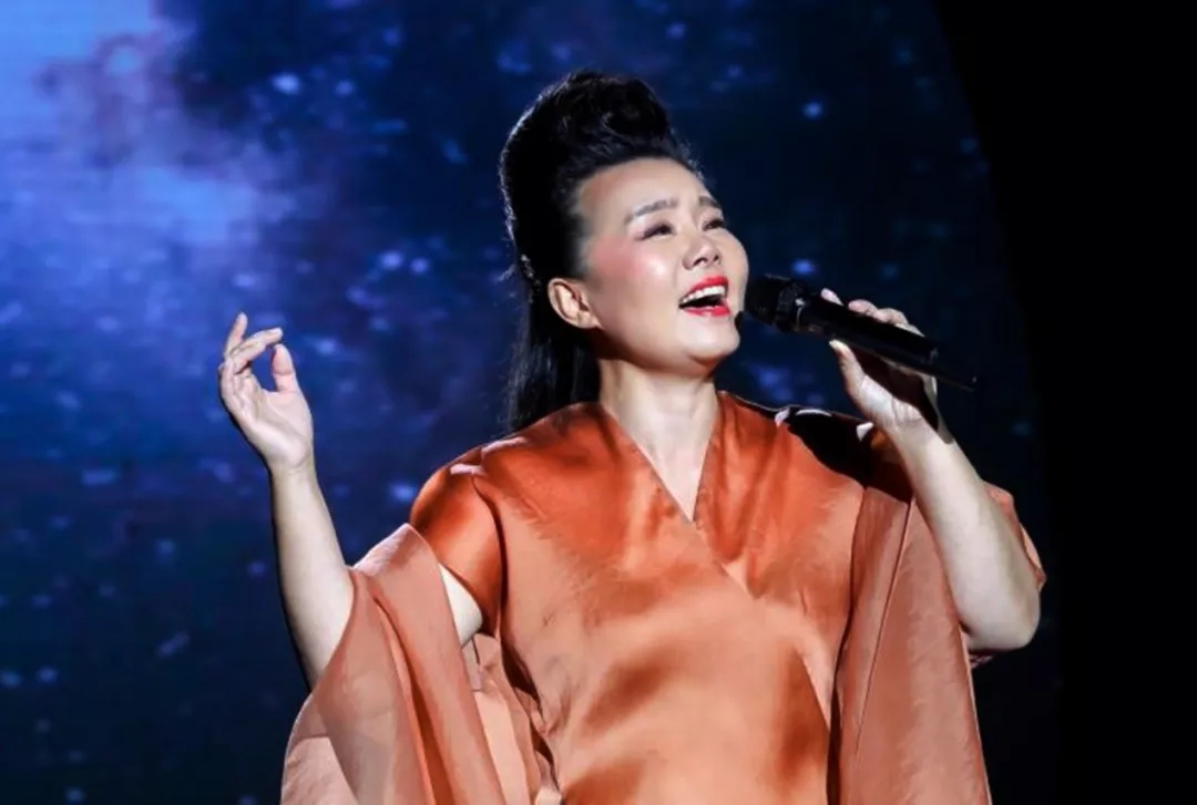 2021龚琳娜西安音乐会