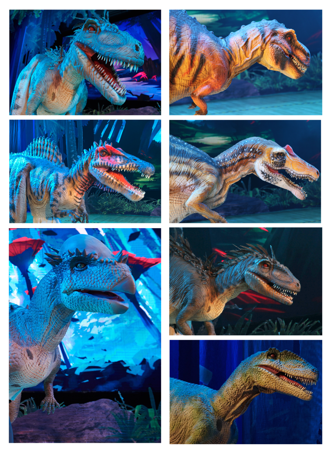 2021儿童剧《恐龙归来之小精灵探险记2》-杭州站 2021儿童剧《恐龙归来之小精灵探险记2》-杭州站