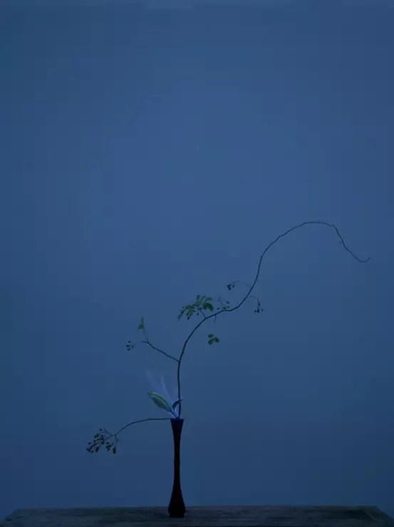 2021《当遗忘,尚未没过船舷》-长沙站 2021《当遗忘,尚未没过船舷》-长沙站