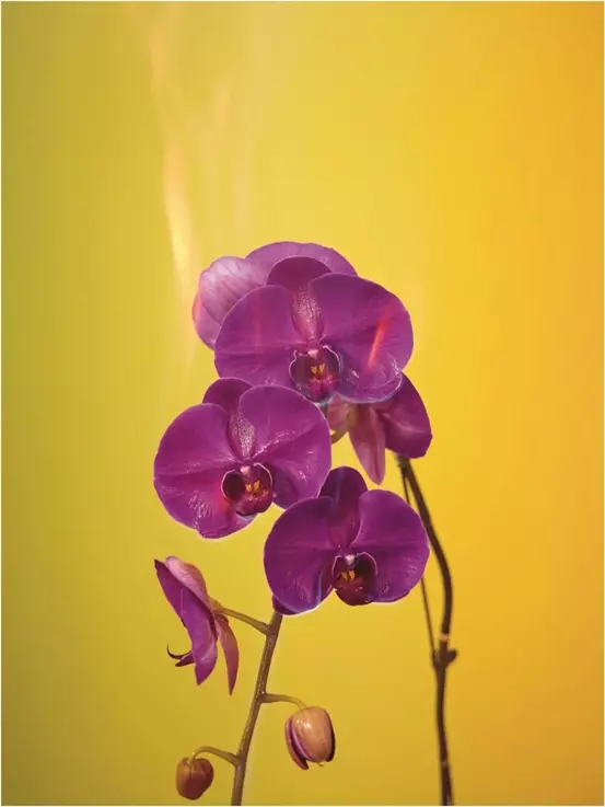 2021《当遗忘,尚未没过船舷》-长沙站 2021《当遗忘,尚未没过船舷》-长沙站