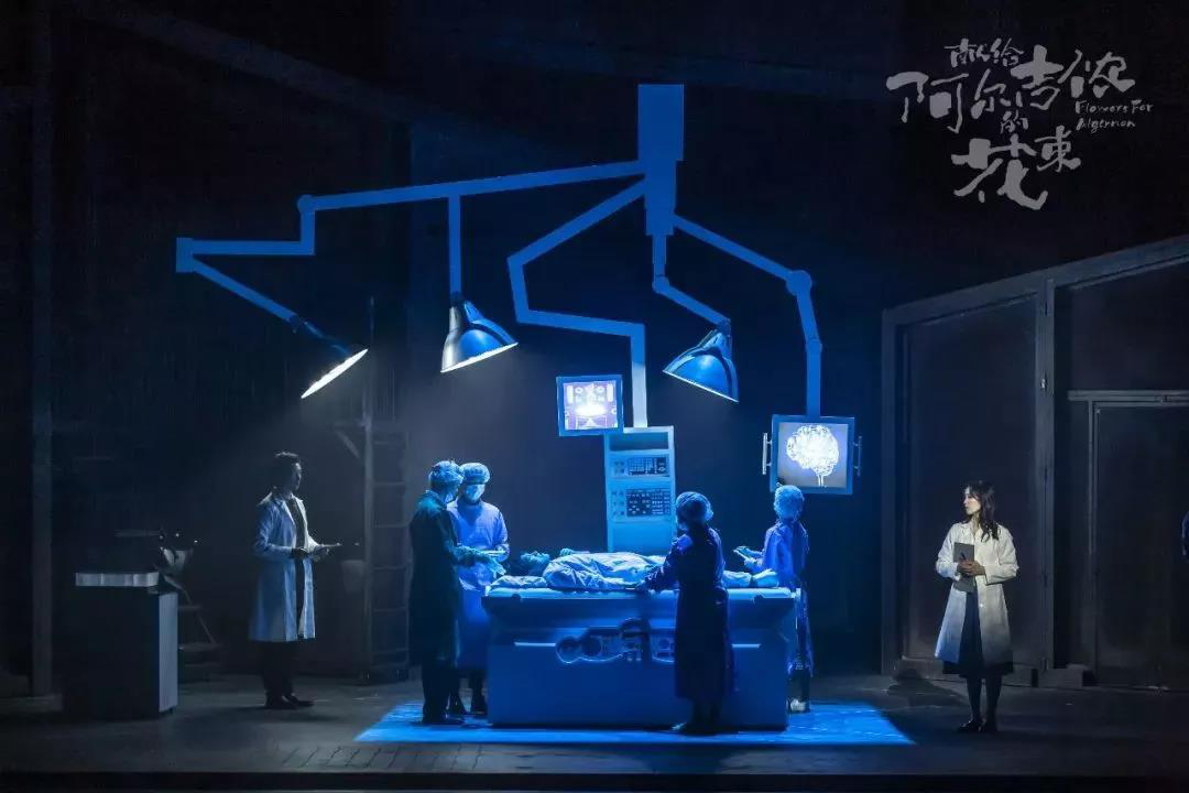 2023音乐剧《献给阿尔吉侬的花束》上海站时间+地点+门票价格