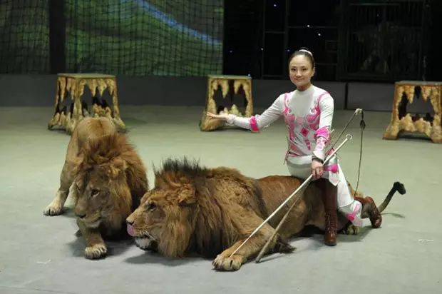 2021欢乐马戏上海站