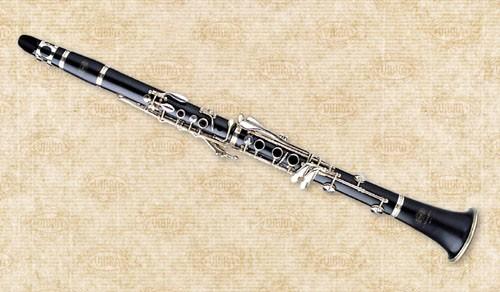 2021古典璀璨之声二重奏北京音乐会